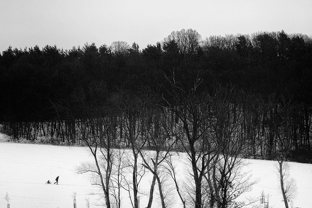 winter landscape by Roman Holý